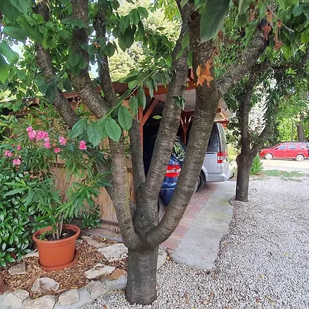 - Balaton 18519 Apartament *